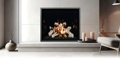 Mendota: FV46 FireIn - primary view