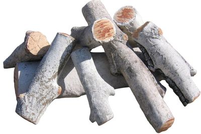 Rasmussen: Fire Pit Log Sets FP - Birch Logs 20in - primary view