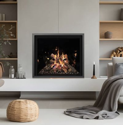 Mendota: FV41 FireIn - primary view