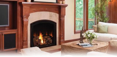 Mendota: FV41 Arch Fullview - primary view